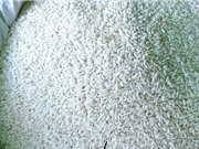 Tính chất đặc thù của gạo Tám xoan Hải Hậu