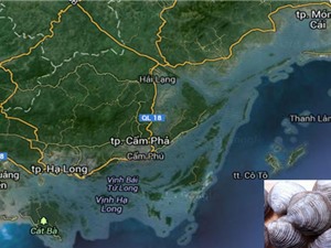 Ảnh hưởng của điều kiện địa hình và địa mạo tới chất lượng ngán Quảng Ninh