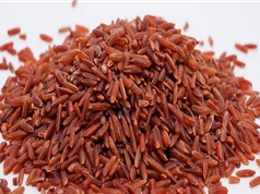 Những điểm đặc biệt của gạo Một Bụi Đỏ Hồng Dân