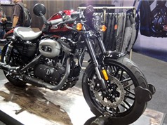 Harley-Davidson Roadster cafe racer giá hơn 600 triệu đồng