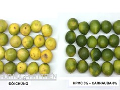 Chế phẩm tạo màng bảo quản hoa quả: Lợi nhuận cao nhưng khó nhân rộng