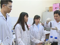 Nhà khoa học trẻ duy nhất được xét tặng Giải thưởng Tạ Quang Bửu