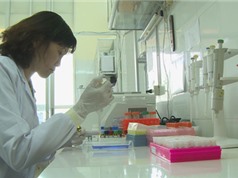 Nhà khoa học nữ duy nhất được đề cử Giải thưởng Tạ Quang Bửu năm 2017