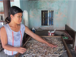 Quảng Ninh - xứ sở của hải sản mang chỉ dẫn địa lý