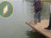 Clip: Câu được cá chép “khủng” trên Hồ Xuân Hương, Đà Lạt