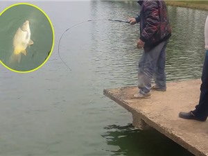 Clip: Câu được cá chép “khủng” trên Hồ Xuân Hương, Đà Lạt