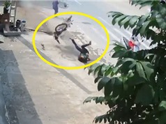 CLIP HOT NHẤT TRONG NGÀY: Ngã "cắm đầu" vì tránh người qua đường, khỉ đầu chó hù dọa báo 