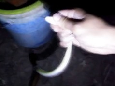Clip: Dùng tay không bắt 2 con rắn ở Sóc Trăng