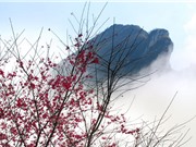 Núi Hàm Rồng - điểm đến hấp dẫn bậc nhất Sa Pa