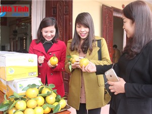 Cam Thượng Lộc - đặc sản Hà Tĩnh được bảo hộ sở hữu trí tuệ