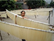 Làng nghề mỳ gạo Hùng Lô bứt phá nhờ sản xuất sạch 