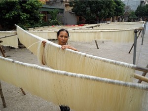 Làng nghề mỳ gạo Hùng Lô bứt phá nhờ sản xuất sạch 