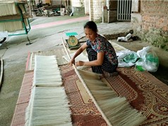 Hình ảnh sản xuất mỳ gạo ở làng nghề Hùng Lô, Phú Thọ