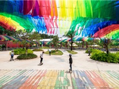 Sân chơi liên tục biến đổi màu sắc ở Sài Gòn
