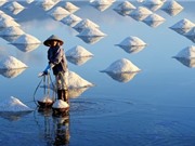 Phú Yên: Công bố nhãn hiệu chứng nhận “Muối Tuyết Diêm”