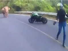 Clip: Bị voi rừng chặn đường, biker Thái Lan “bỏ của chạy lấy người”