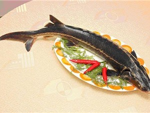Clip: Cá tầm - thực phẩm tốt cho sức khỏe nam giới