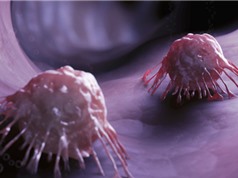 'Tàu ngầm siêu nhỏ' mang thuốc diệt tế bào ung thư