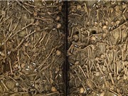 Phát hiện gây chấn động từ ngôi mộ chiến binh thế kỷ 17 ở Đức