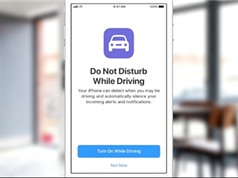 Apple đưa 'Không làm phiền khi lái xe' lên hệ điều hành iOS 11