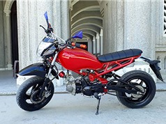 Honda Wave độ theo phong cách Ducati của nữ biker Đà Lạt