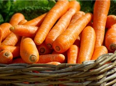 Thực hư tác dụng bổ mắt của cà rốt