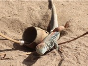 Clip: Tìm hiểu cách đặt bẫy bắt dông cát ở Phú Yên