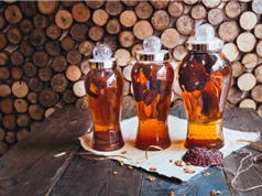 Cách ngâm rượu nấm linh chi giúp giải độc gan, tăng cường sinh lực