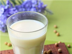 Tự làm sữa đậu nành với máy xay sinh tố