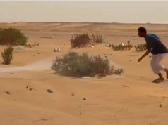 Clip: Ngỡ ngàng trước cảnh mang chài ra sa mạc để… bắt chim