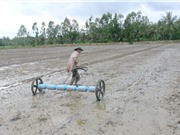 TS Nguyễn Văn Biếu: Có thể gieo sạ theo hiệu ứng hàng biên