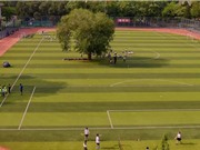 Cây cổ thụ "án ngữ" kỳ lạ giữa sân bóng trường học Trung Quốc