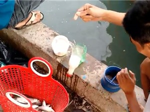 Clip: Bắt được cả giỏ cá chỉ bằng... chai nhựa