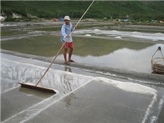 Muối Tuyết Diêm khó bán, giá thấp vì công nghệ sản xuất lạc hậu 
