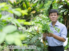 Người muốn biến Việt Nam thành vườn dược liệu