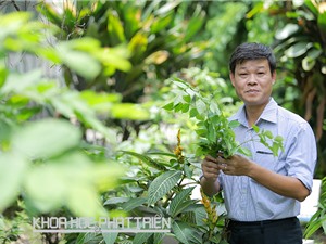 Người muốn biến Việt Nam thành vườn dược liệu