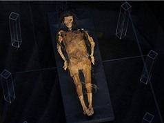 Tái hiện gương mặt xác ướp 1.600 tuổi của nữ quý tộc Peru