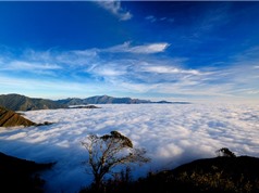 “Lạc trôi” vào điểm “săn” mây đẹp bậc nhất Việt Nam
