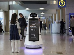 Robot phục vụ du khách tại sân bay Hàn Quốc