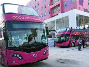 Xe buýt 2 tầng mui trần tại Việt Nam có giá bao nhiêu?