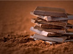 Tiền Giang: Sản xuất sôcôla thành phẩm và bột cacao quy mô công nghiệp