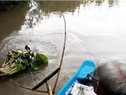 Clip: Cụ già 81 tuổi dùng bông lúa làm mồi nhử cá sông ở Hậu Giang