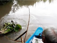 Clip: Cụ già 81 tuổi dùng bông lúa làm mồi nhử cá sông ở Hậu Giang