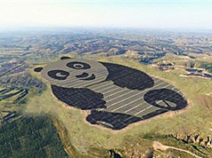 Khám phá nhà máy điện Mặt Trời hình gấu trúc ở Trung Quốc