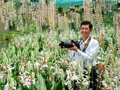 Lâm Đồng: Vườn lan ‘khủng’ sở hữu các loại lan rừng quý hiếm bậc nhất đất Việt
