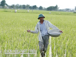 Một số nghiên cứu khoa học về phân bón ở Việt Nam