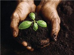 Đổi mới công nghệ để “cứu” đất, người và mùa màng