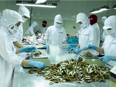 Đặc sản cá khô Phan Thiết xuất khẩu Nhật Bản