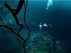 8 phát hiện gây sốc tìm thấy dưới đáy biển
