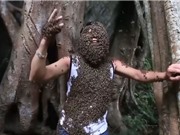 Clip: “Dị nhân” người Điện Biên liều mạng cho ong rừng bu kín người